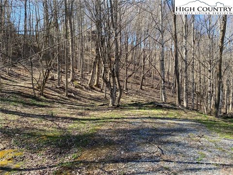 Creek Frontage Land in Banner Elk