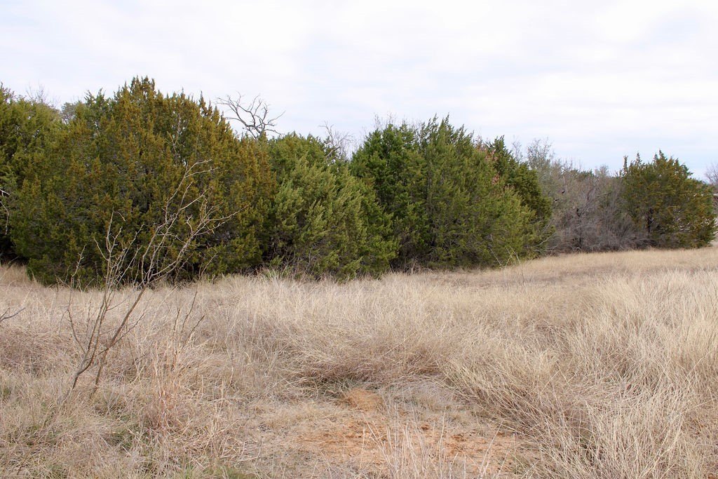 Picture 11