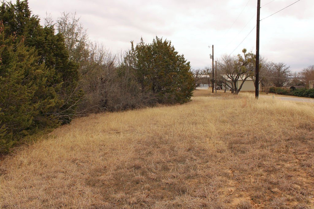 Picture 4