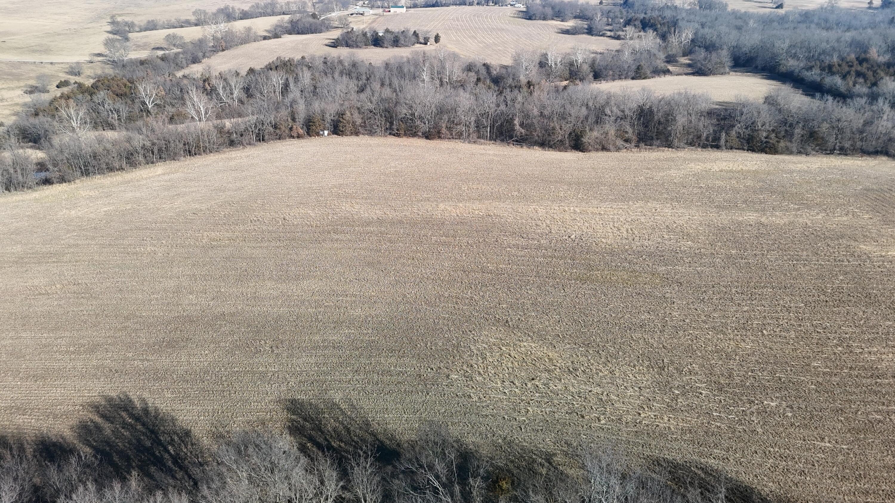 40 Acres of Fertile Land