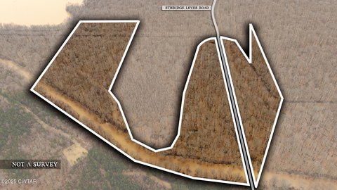 Greenfield, TN Timber Tract