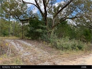 Wooded Land in Wilkinson County