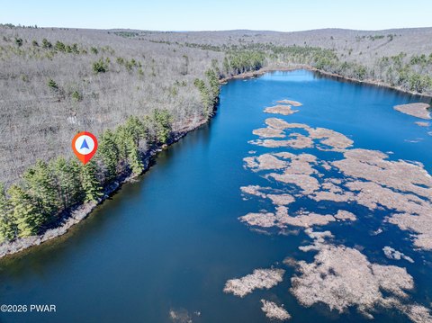 Lakefront Land in Tink Wig