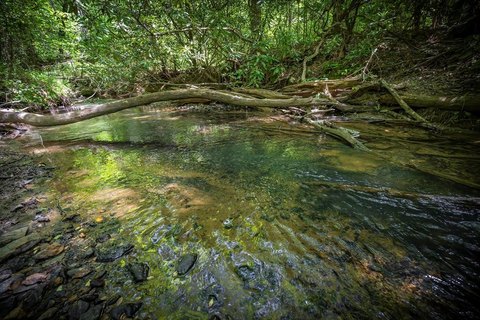 Waterfront Land with Creek Frontage
