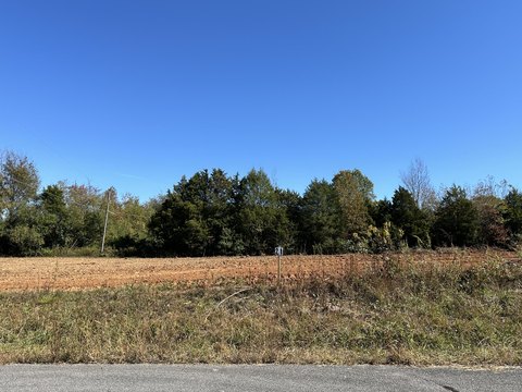 Residential Land in Etowah, TN