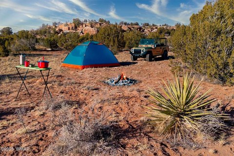 Show Low Land Opportunity