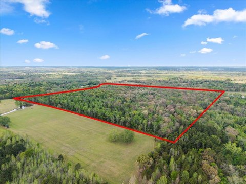 105 Acres of Wooded Land