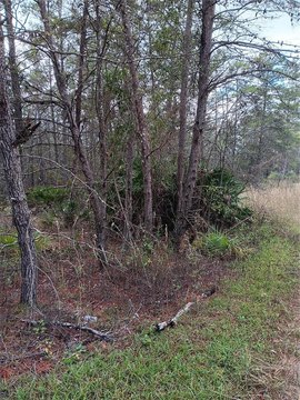 Vacant Land Near Shopping