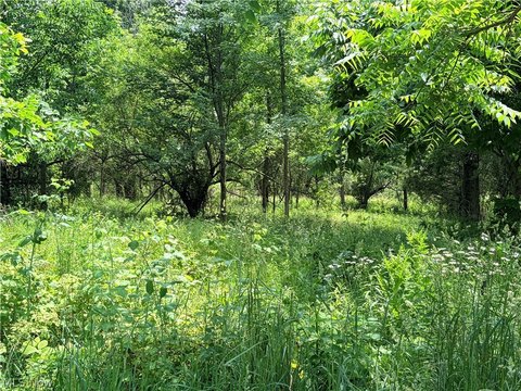 LAND - Shelby, OH