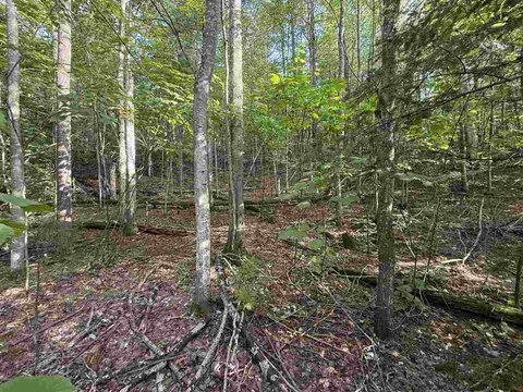 Charlevoix Vacant Lot Opportunity