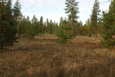Land, Goldendale, WA
