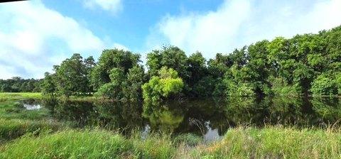 Waterfront Land with Pond