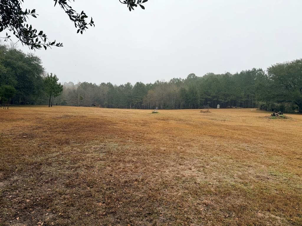 Picture 4