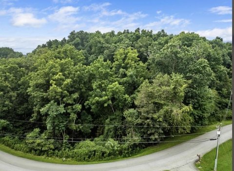 Fairlawn, VA Wooded Building Lot
