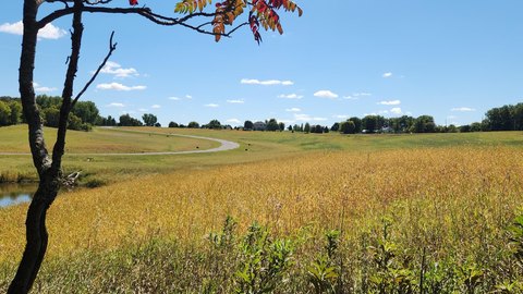 Residential Land in Rolling Countryside