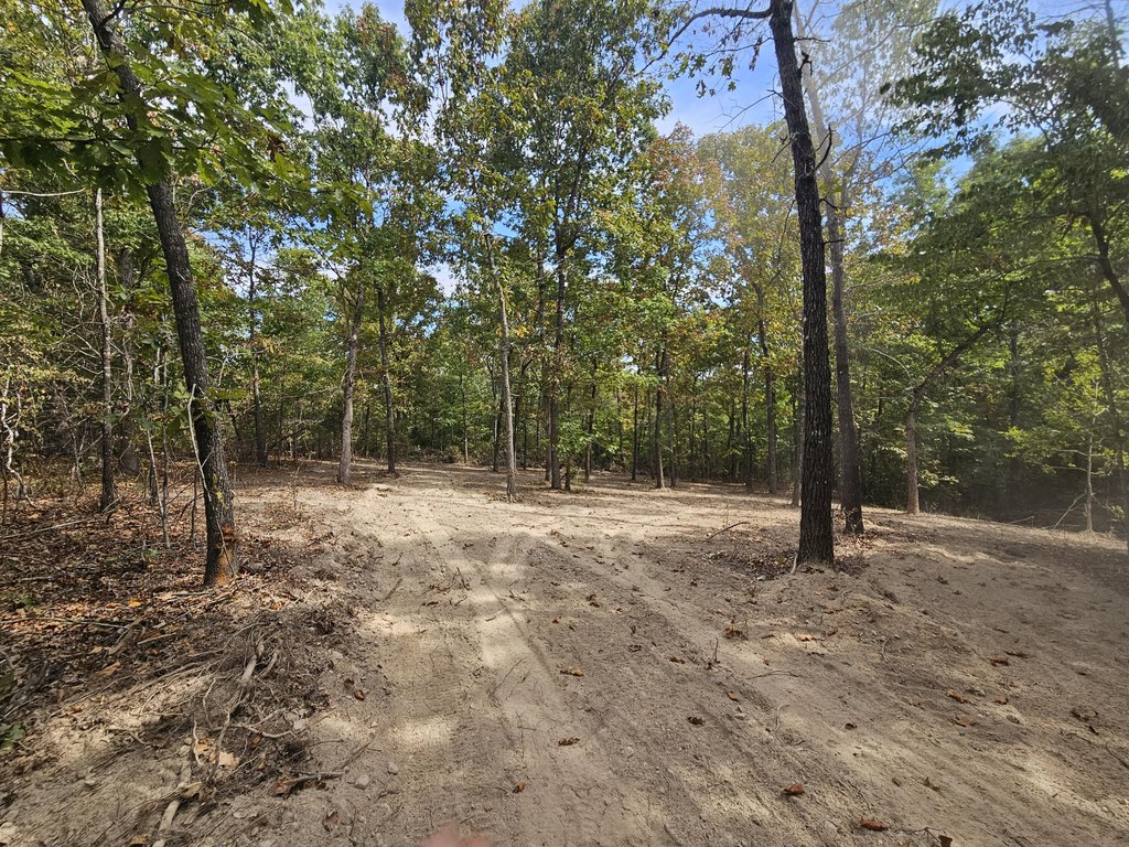 Picture 2