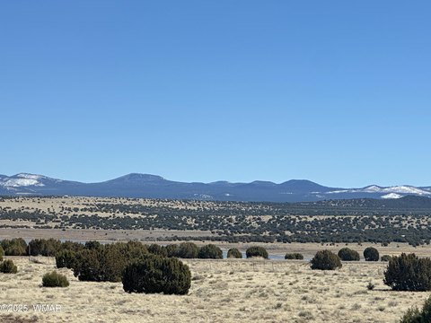 9.22 Acres in Concho, AZ