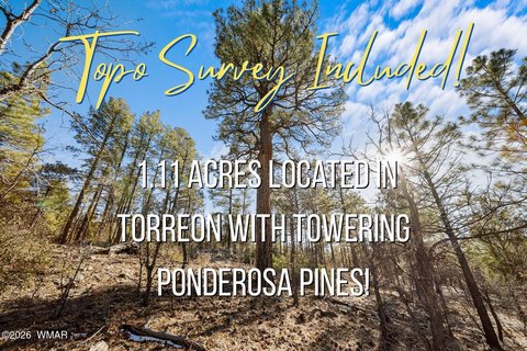 Heavily Treed Torreon Development Lot