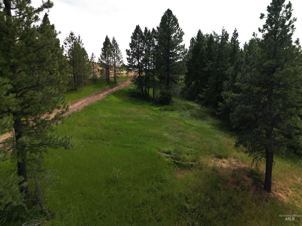 Picture 3