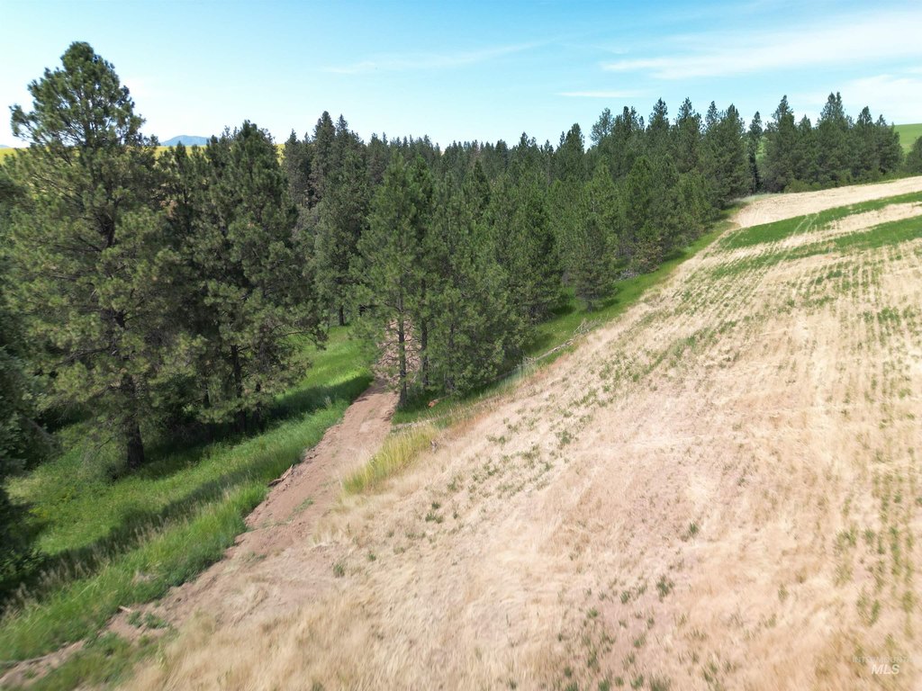 Picture 9