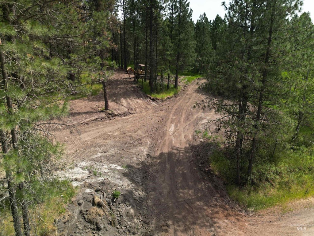 Picture 28