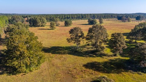 Pasture Land in Walton County