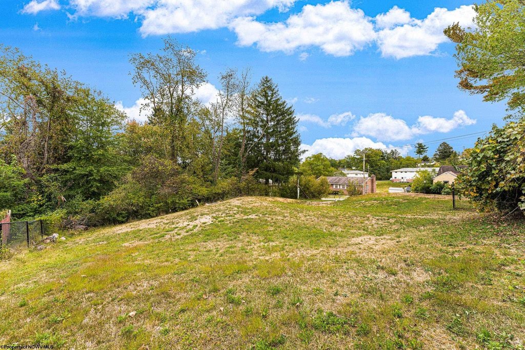 Picture 7
