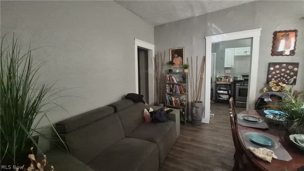 Picture 21