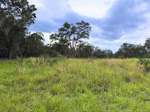 Land - DAVENPORT, FL
