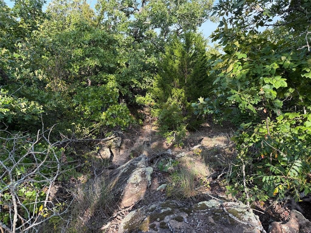 Picture 13