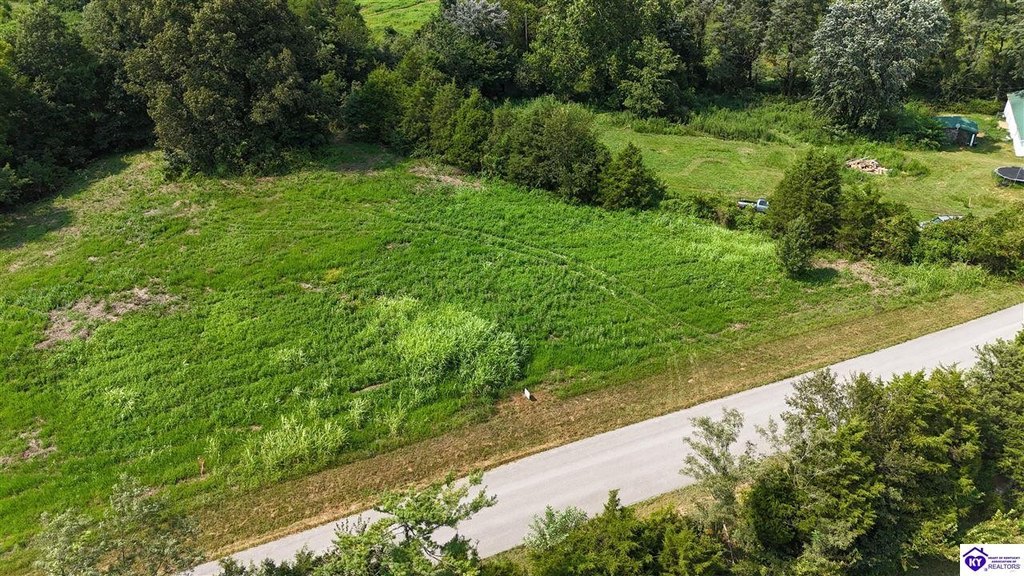 Picture 13