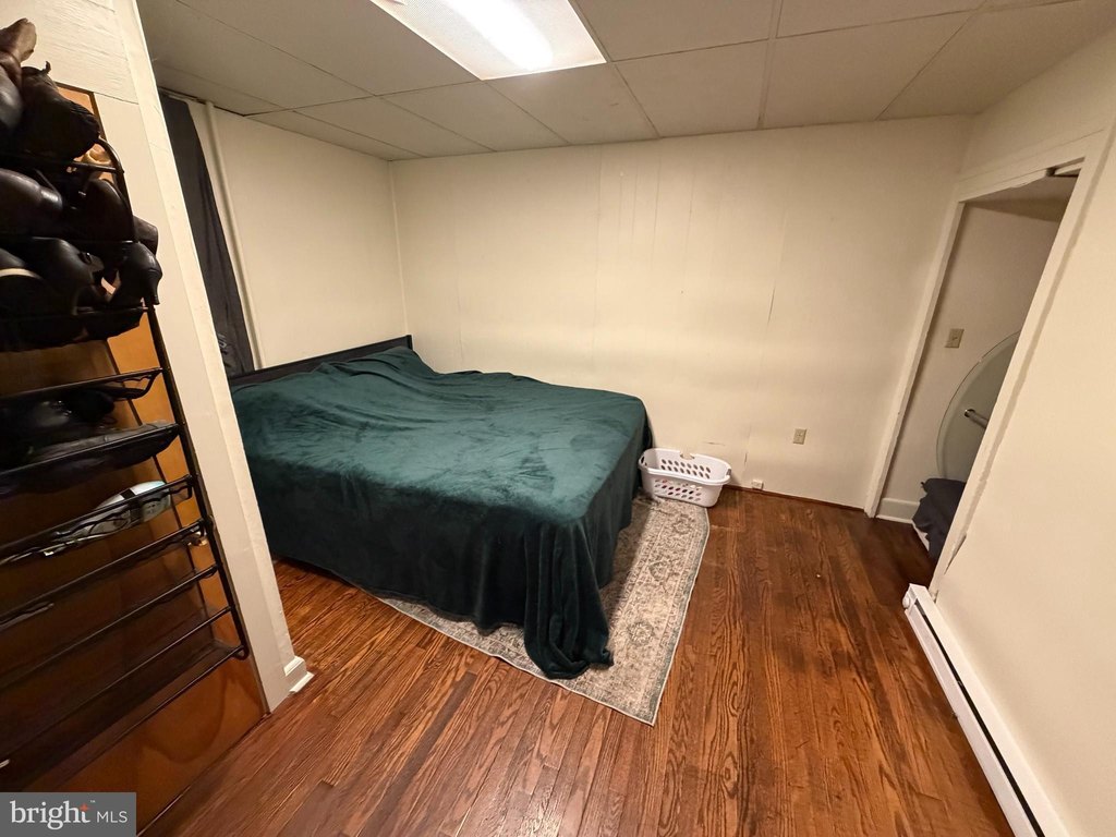 Picture 5