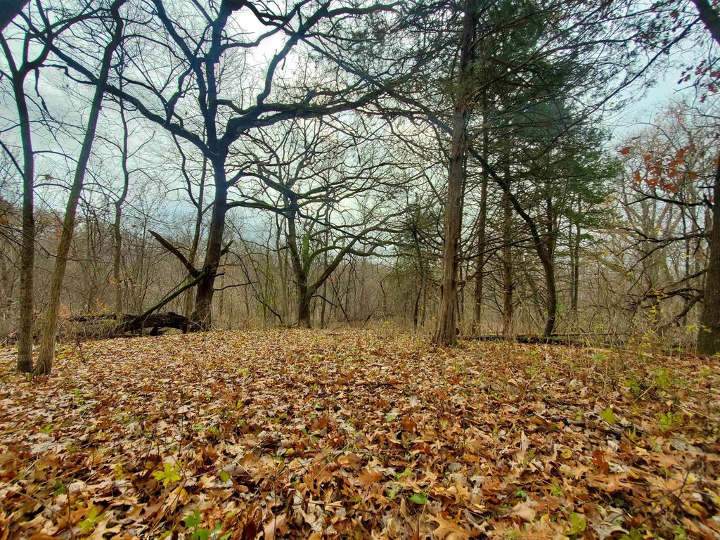 Picture 14