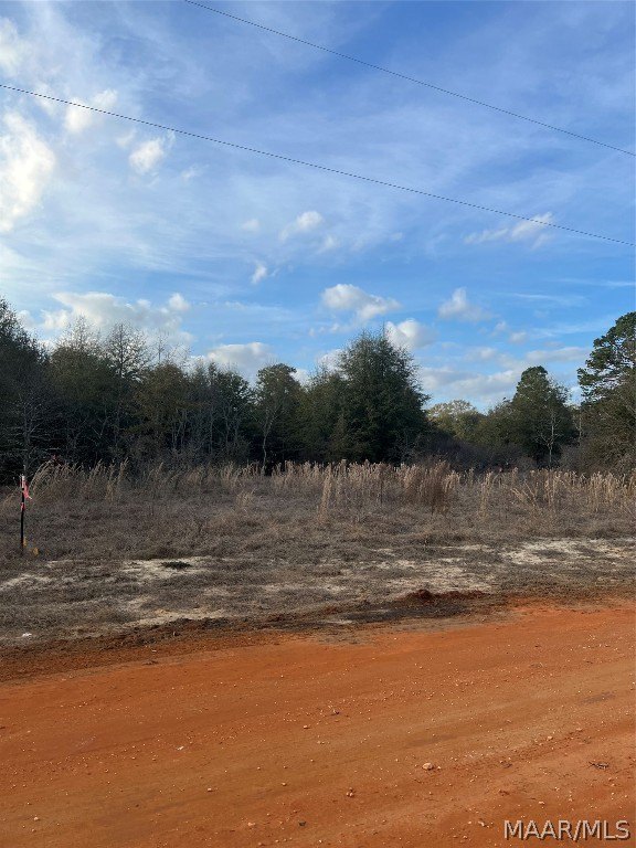 Land in Miller's Ferry Area