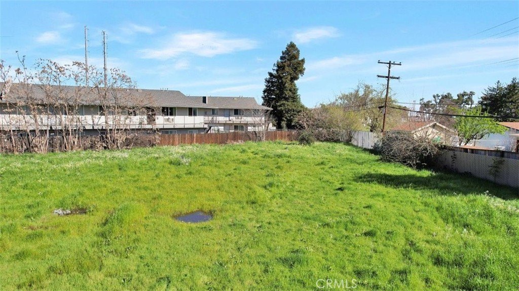 Picture 6