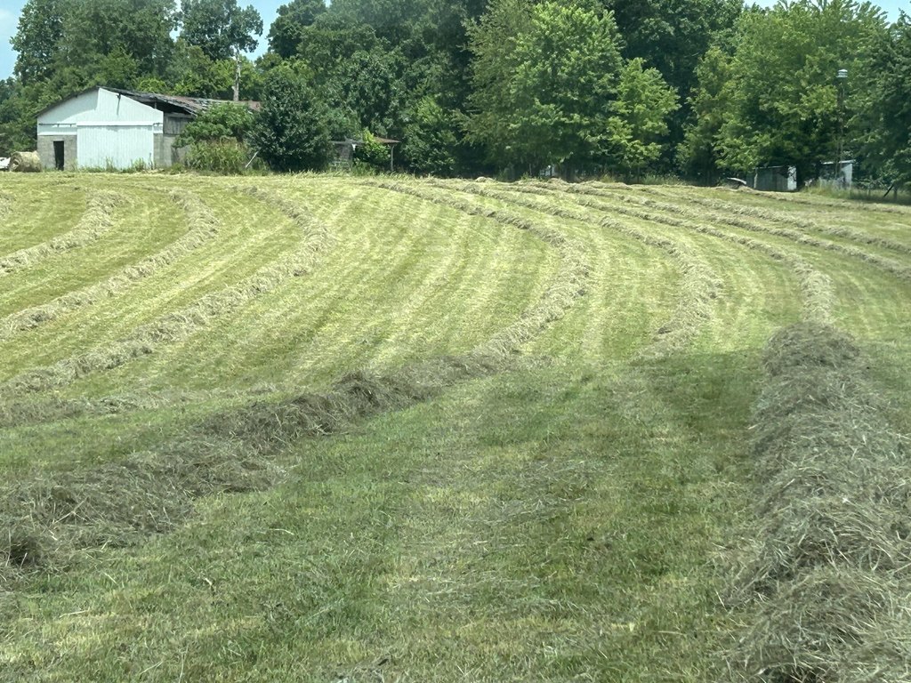 Picture 13
