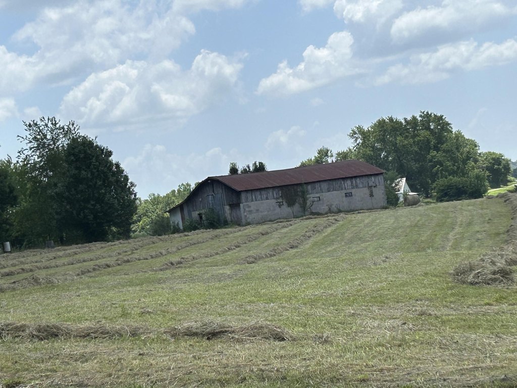 Picture 15
