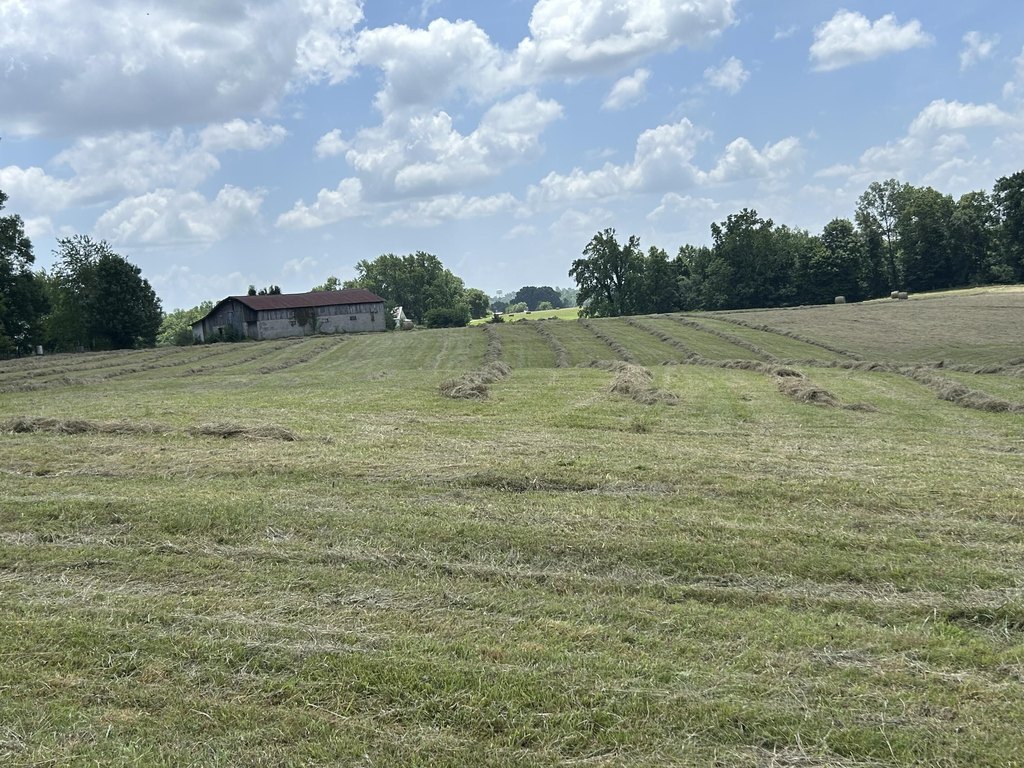 Picture 18