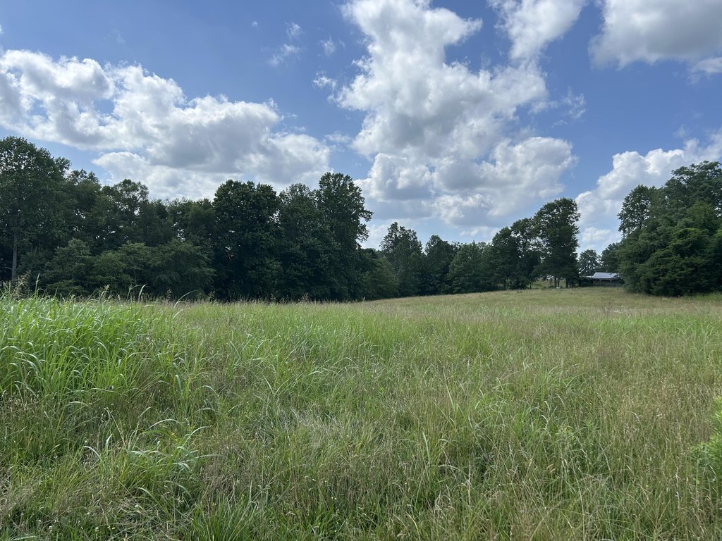 Picture 19