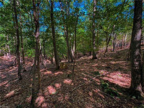 Land, Denton, NC