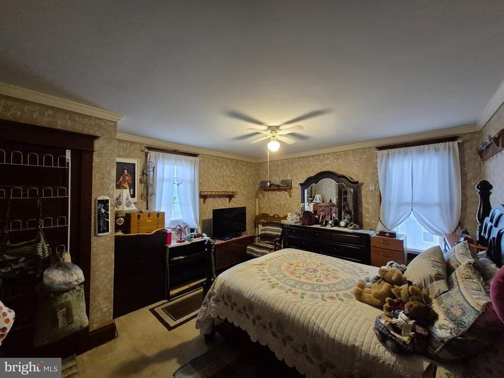 Picture 10