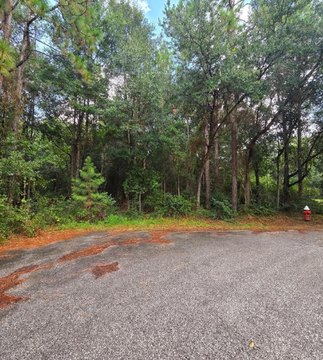 Land, Milton, FL
