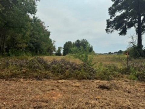 LAND, Carthage, TX