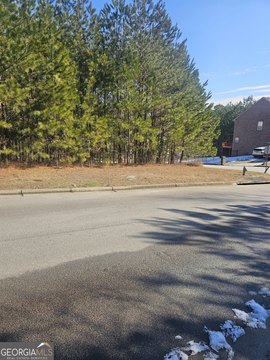 Residential Land in Stone Mountain