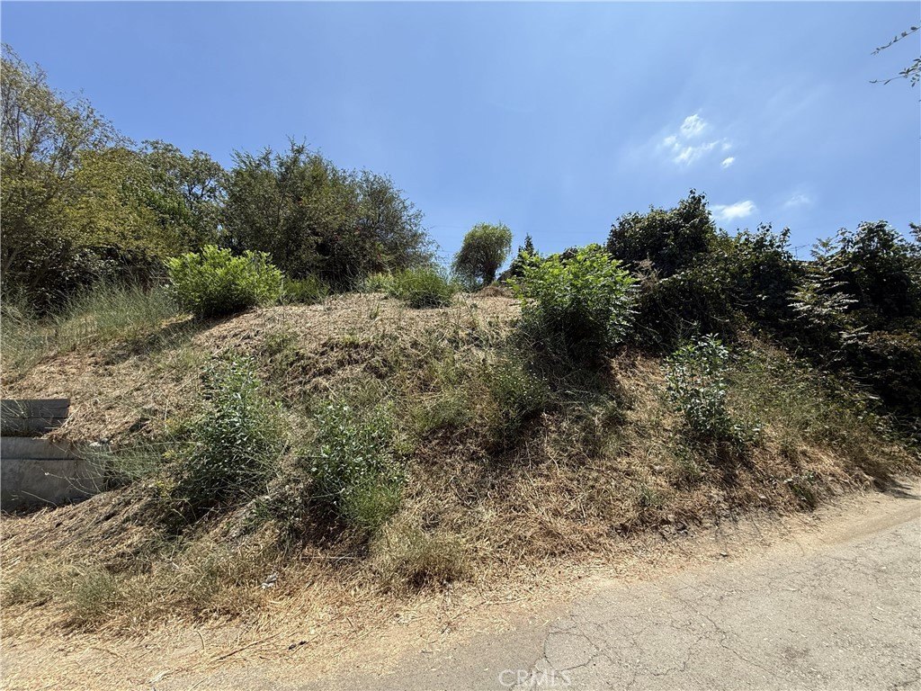 Picture 2