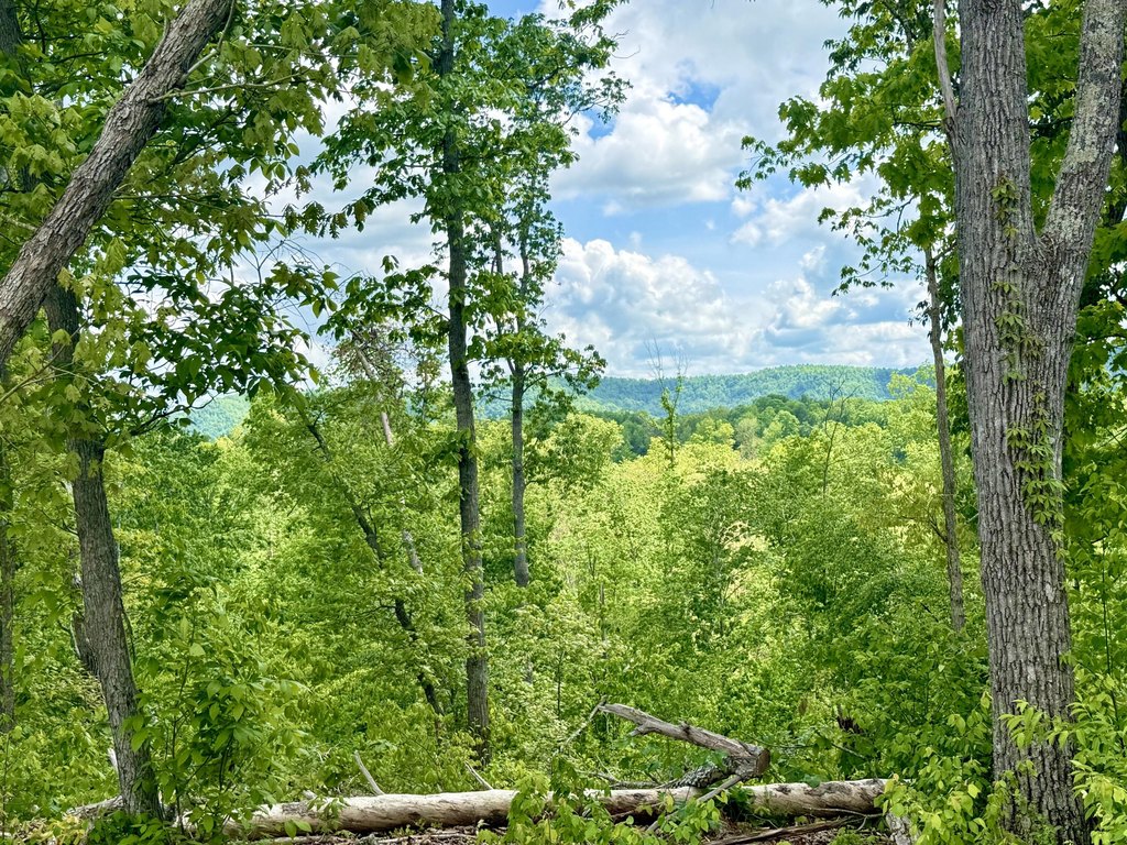 Picture 17