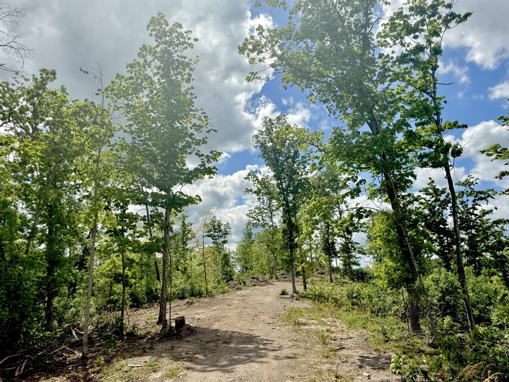 Picture 27