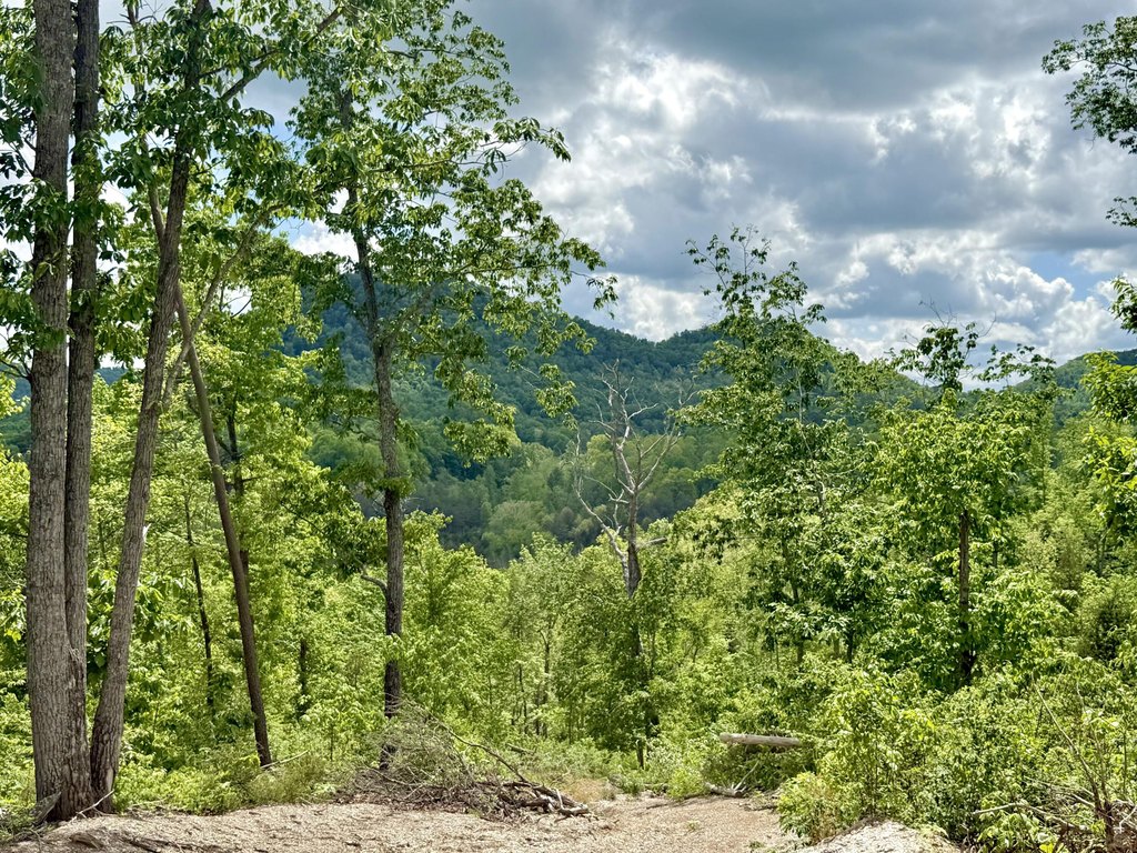 Picture 32