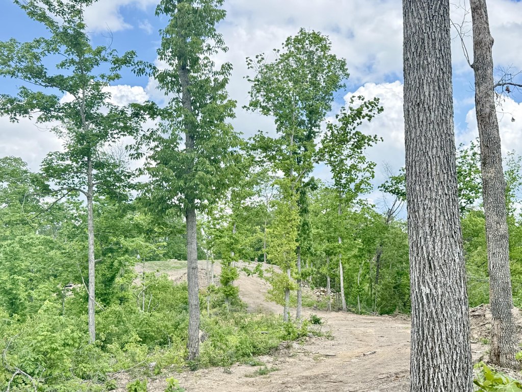 Picture 20
