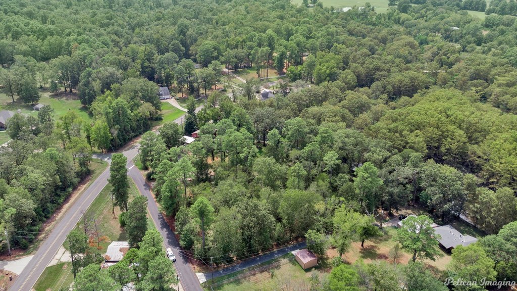 Picture 3